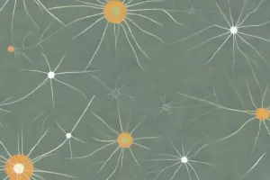 Cómo se evalúan los estudios científicos en naturopatía