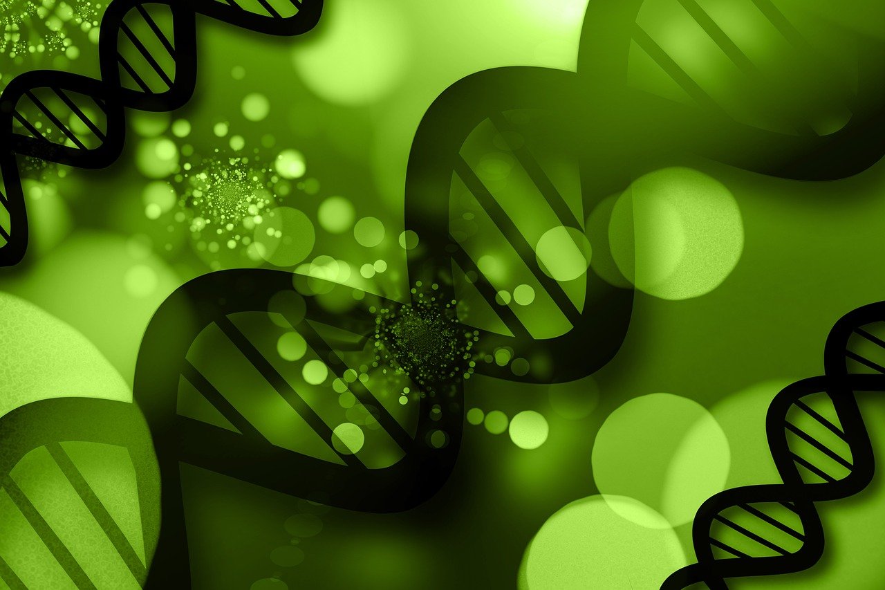 ADN, nutrición, verde