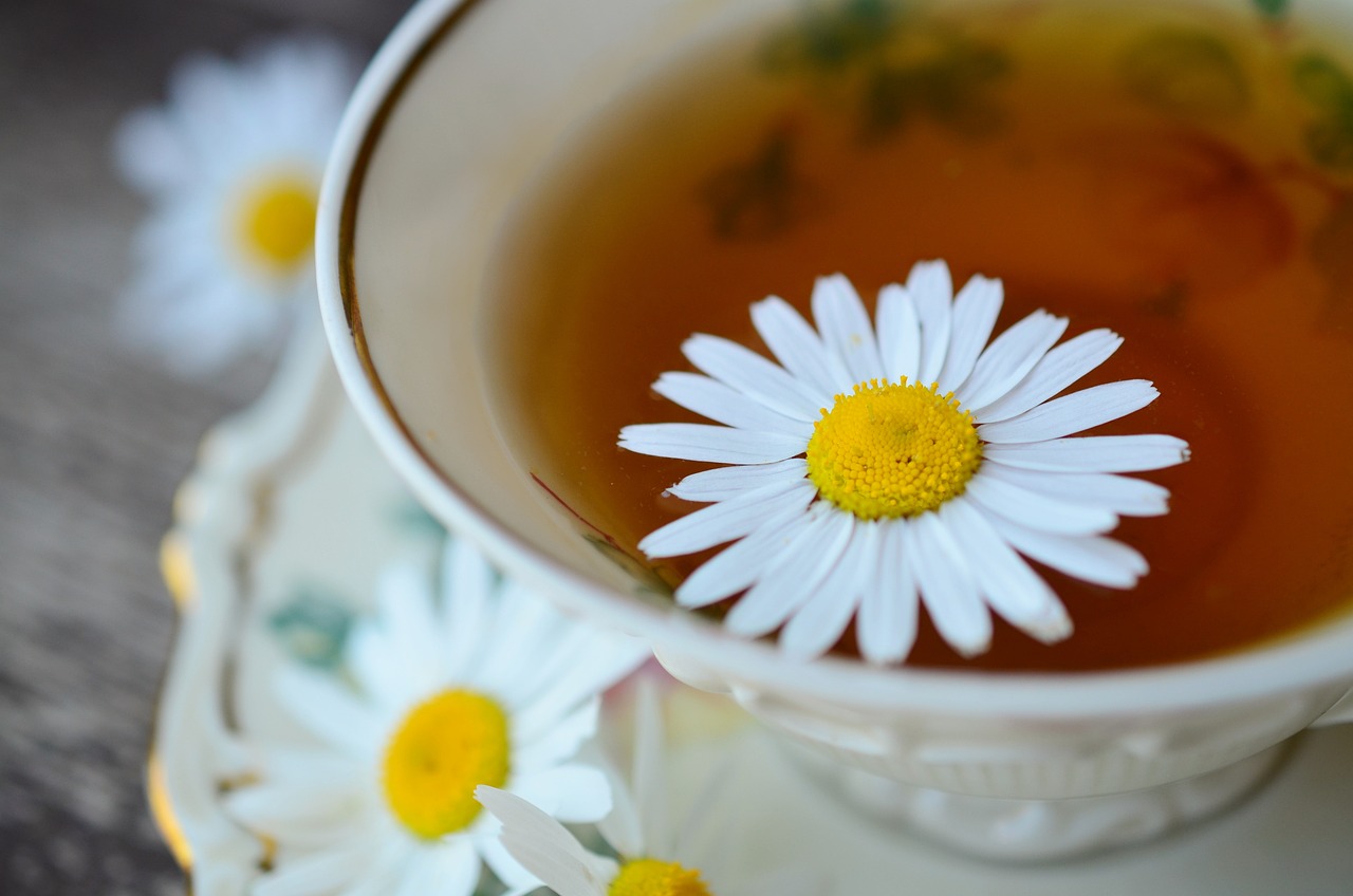 chamomile, camomile tea, tea
